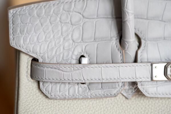 Hermes Bag Image Birkin Touch 25CM Matte Crocodile / Togo Leather 80 Pearl grey Silver Hardware