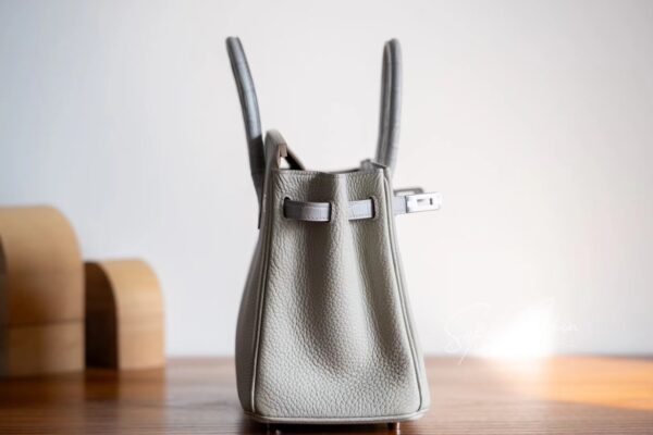 Hermes Bag Image Birkin Touch 25CM Matte Crocodile / Togo Leather 80 Pearl grey Silver Hardware