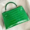 Hong Kong Hermes 1L Cactus Mini Kelly ll Shiny Alligator Crocodile Leather 19CM Gold Hardware
