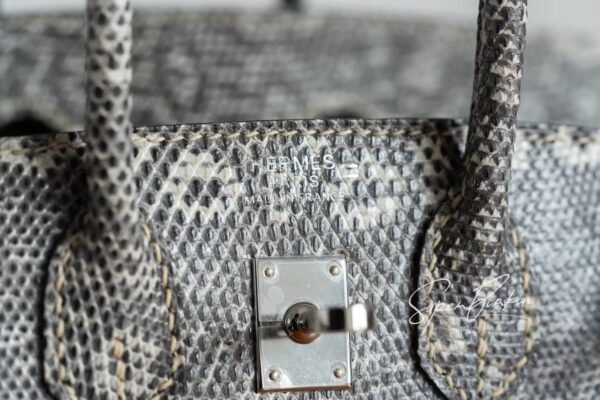 Amsterdam Netherlands Hermes Birkin 25CM 01 Lizard Leather Silver Hardware Full Handmade